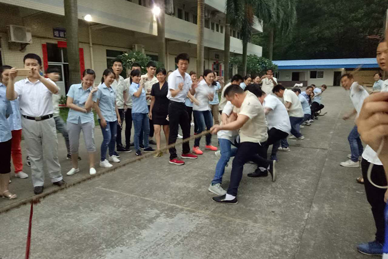 2017 tug of war competition